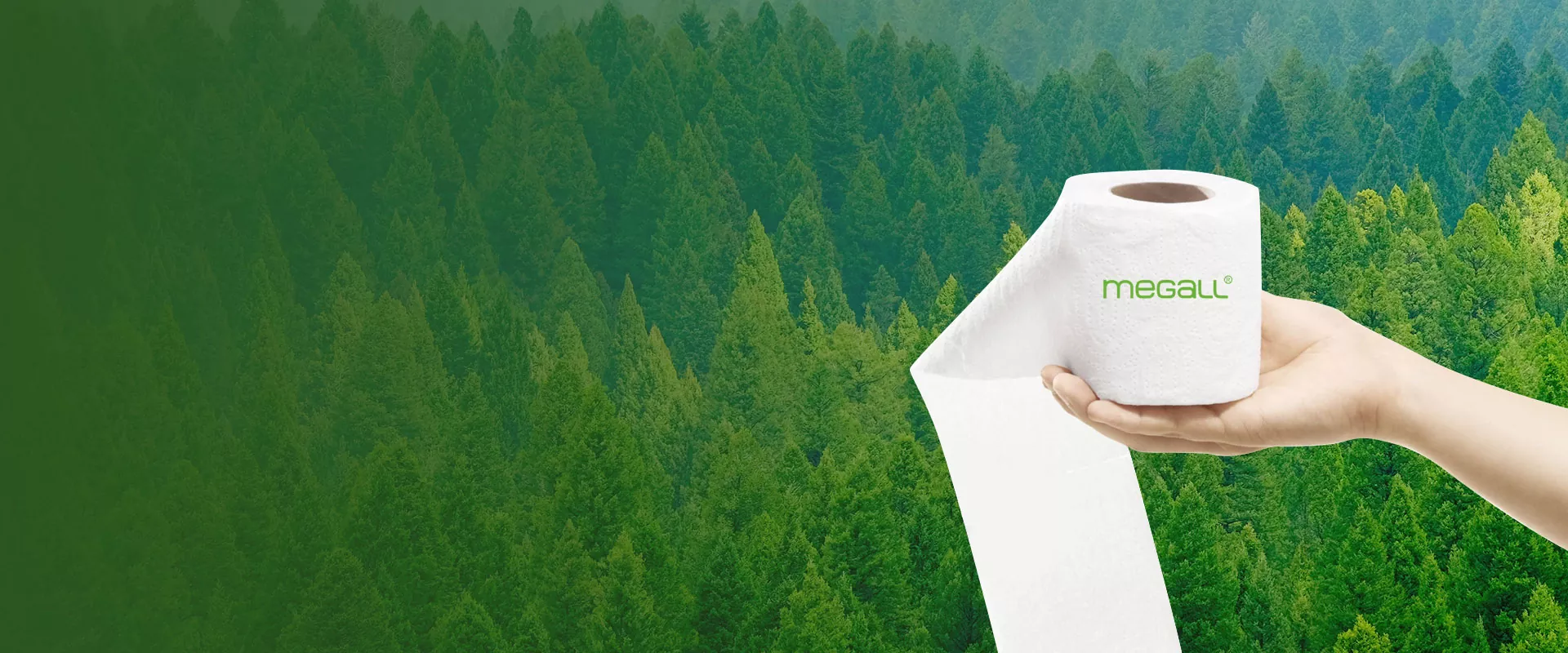 Proveedor de papel sanitario y fábrica